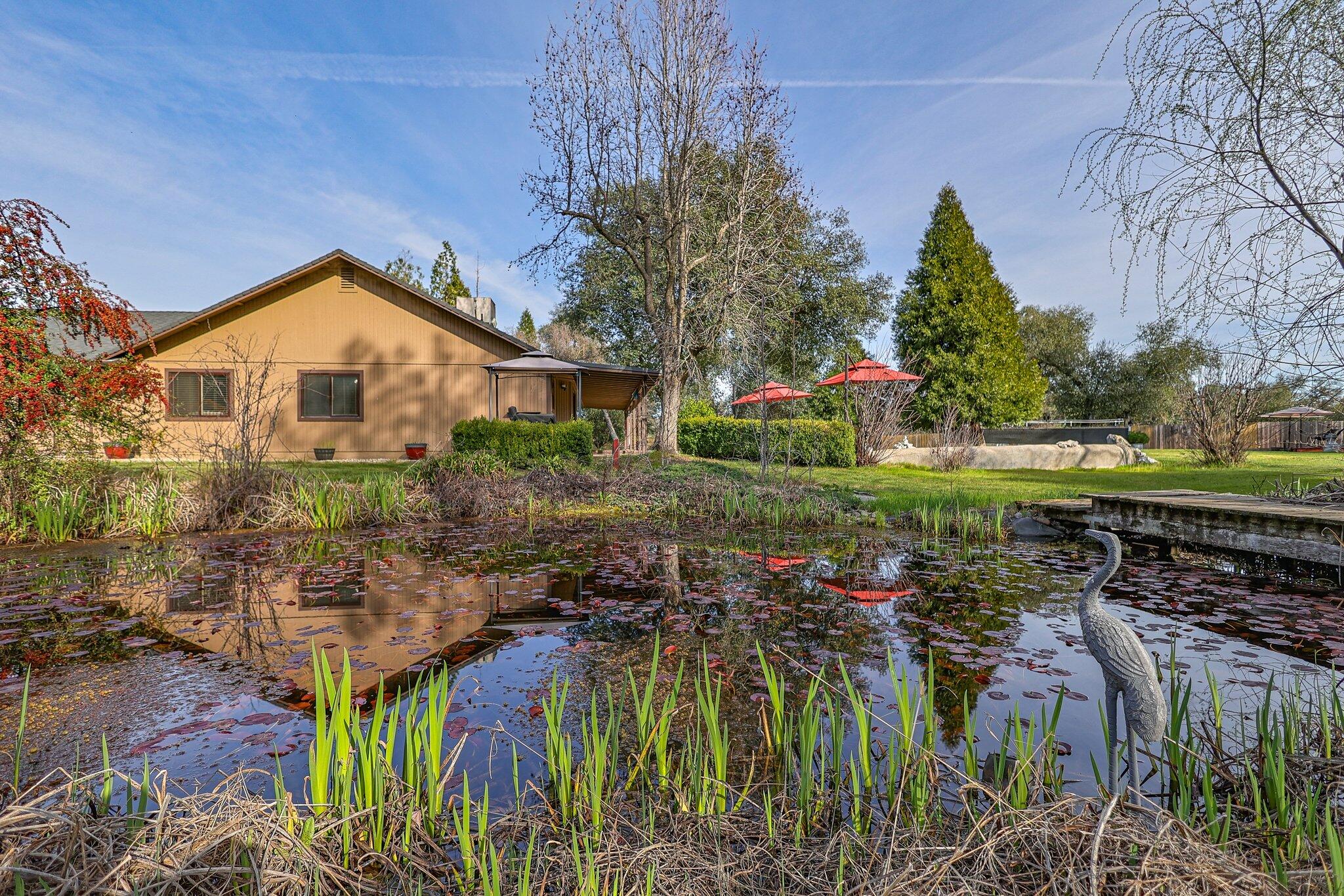 21365 Dersch Road Anderson, CA 96007 - Photo 45 of 55 a view of a yard in front of house
