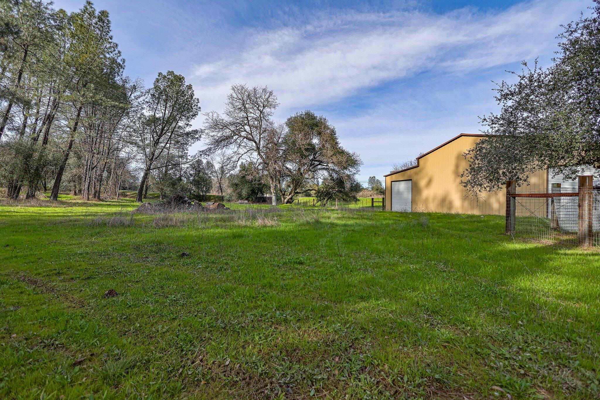21365 Dersch Road Anderson, CA 96007 - Photo 47 of 55 lush grounds