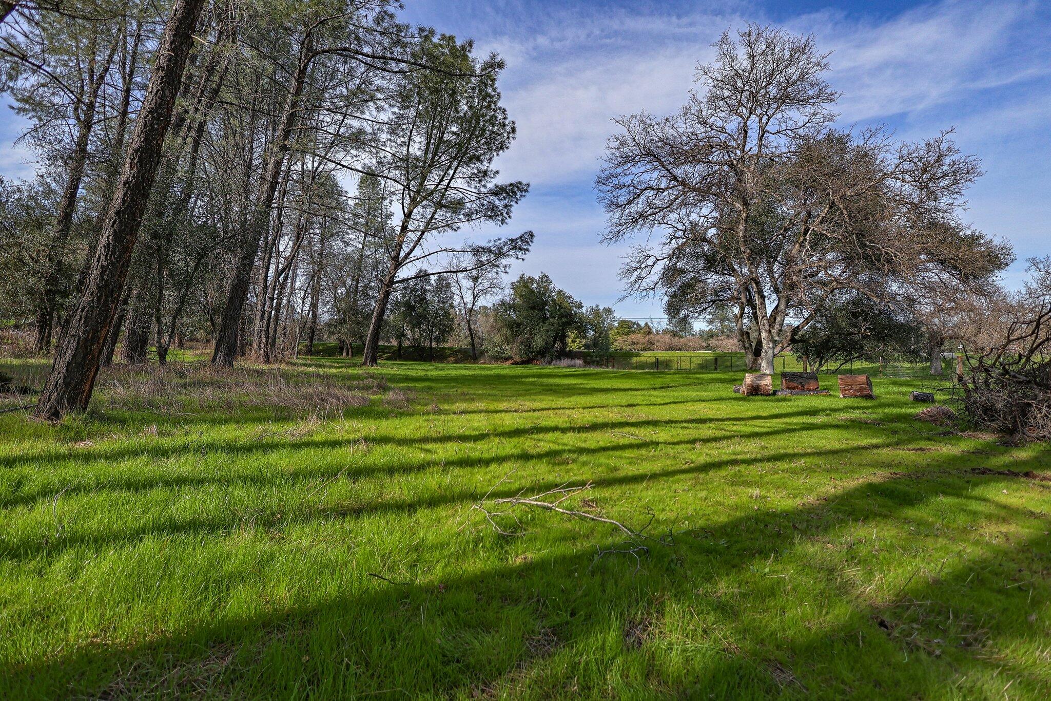 21365 Dersch Road Anderson, CA 96007 - Photo 48 of 55 a view of a park