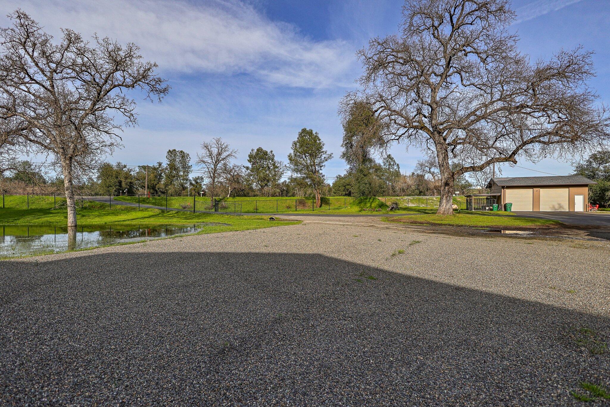 21365 Dersch Road Anderson, CA 96007 - Photo 50 of 55 a view of road and trees