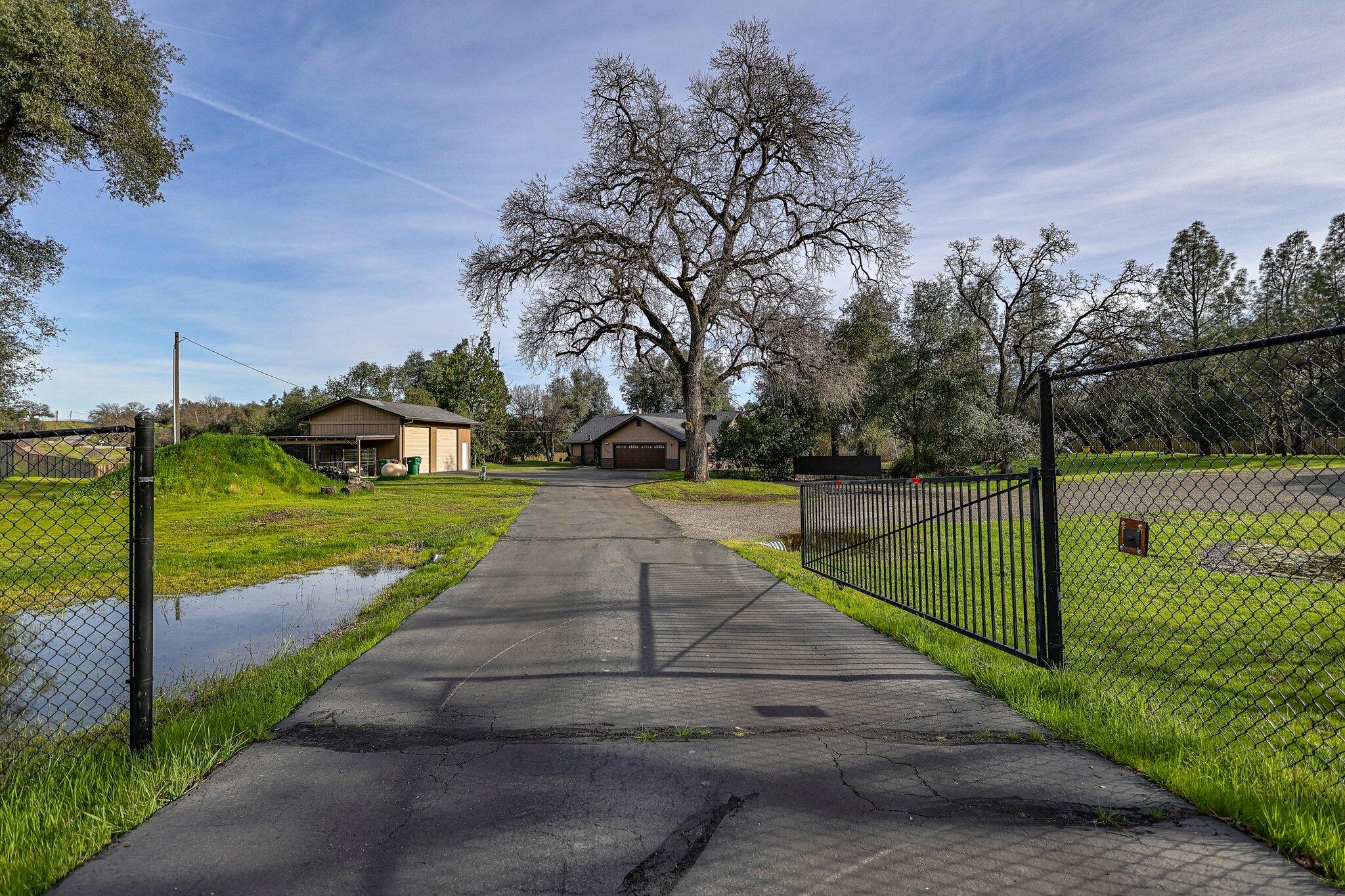 21365 Dersch Road Anderson, CA 96007 - Photo 51 of 55 a view of park with large trees