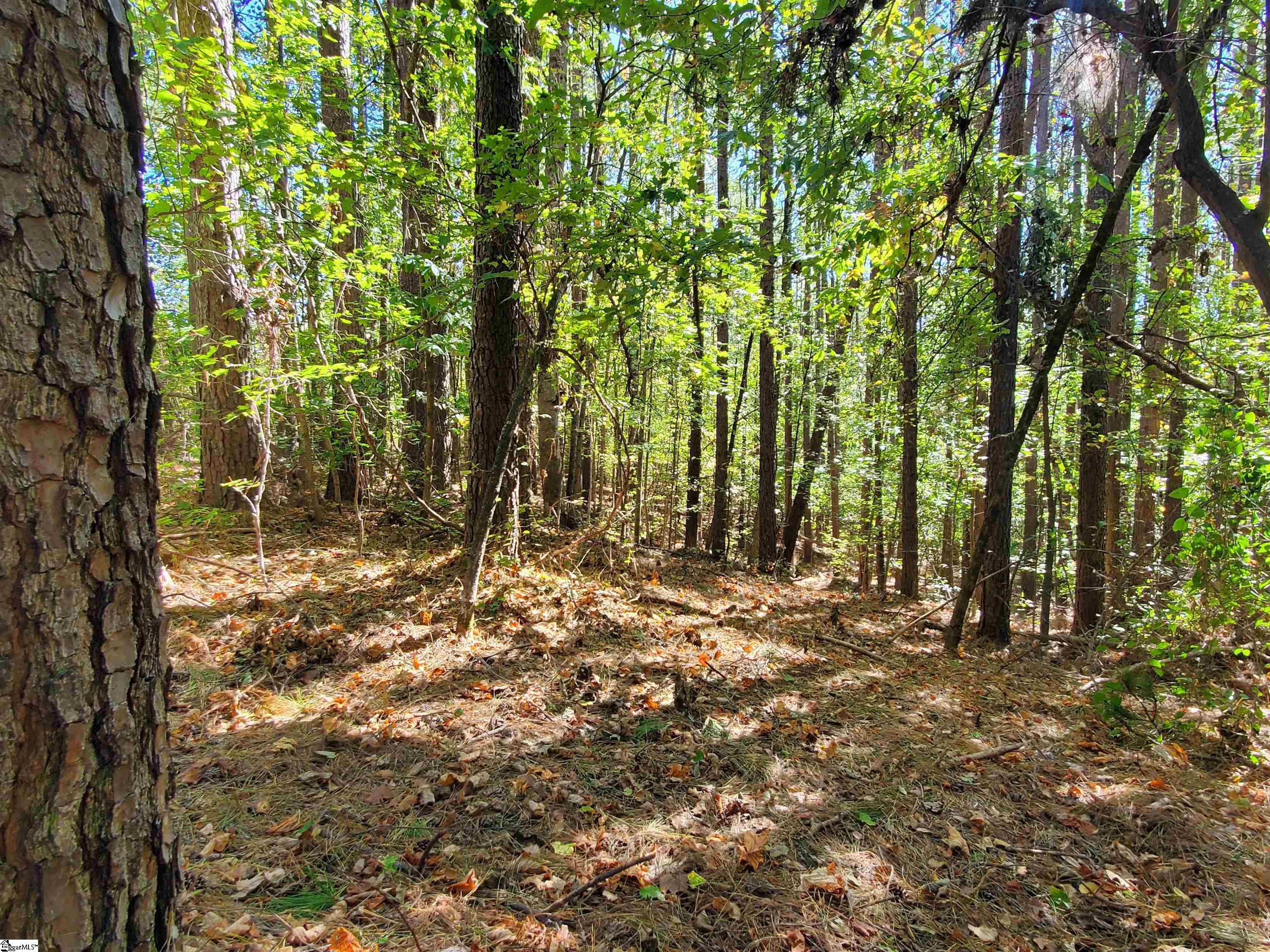 16 Belk Road Travelers Rest, SC 29690 - Photo 12 of 17
