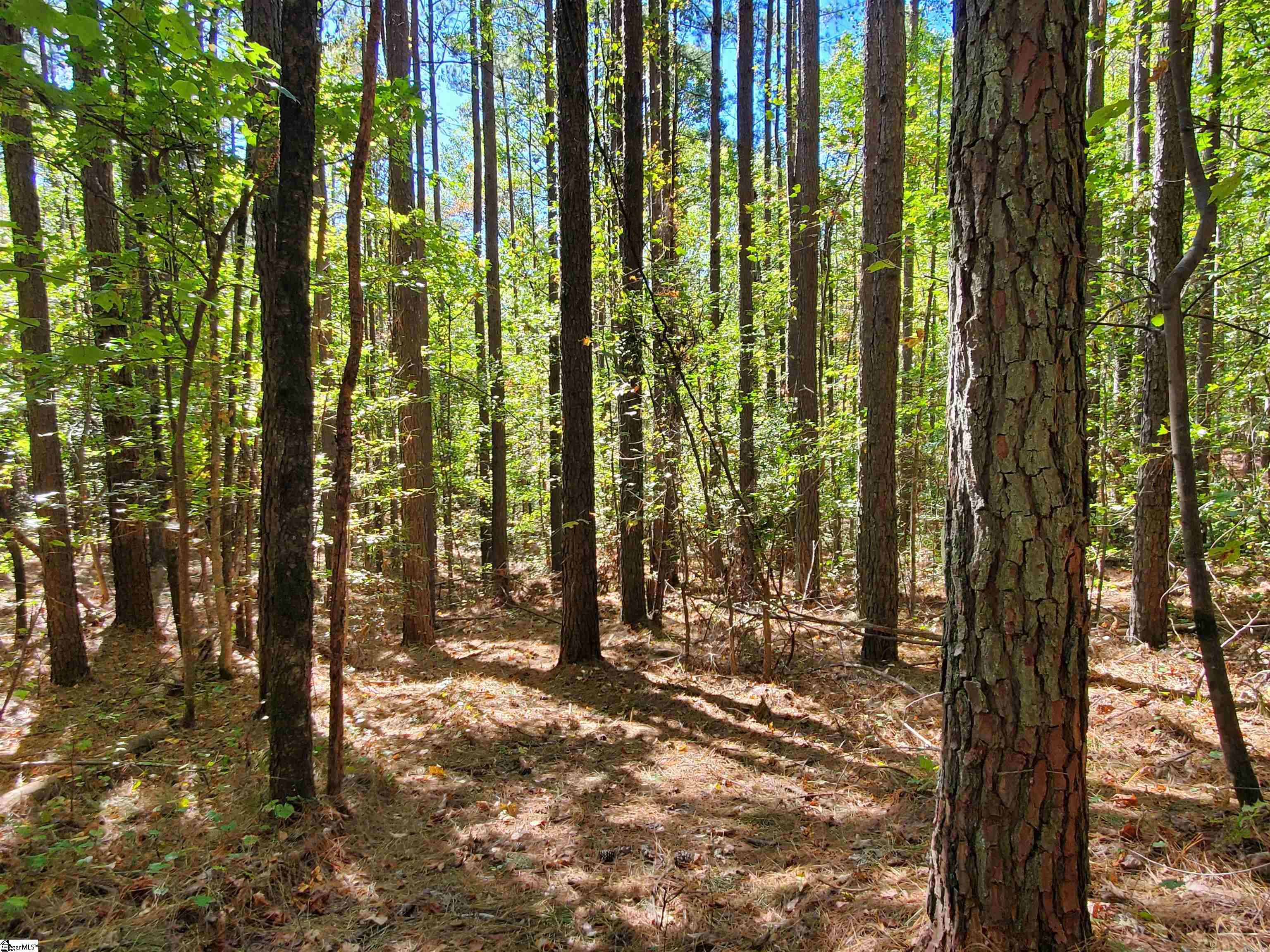 16 Belk Road Travelers Rest, SC 29690 - Photo 13 of 17