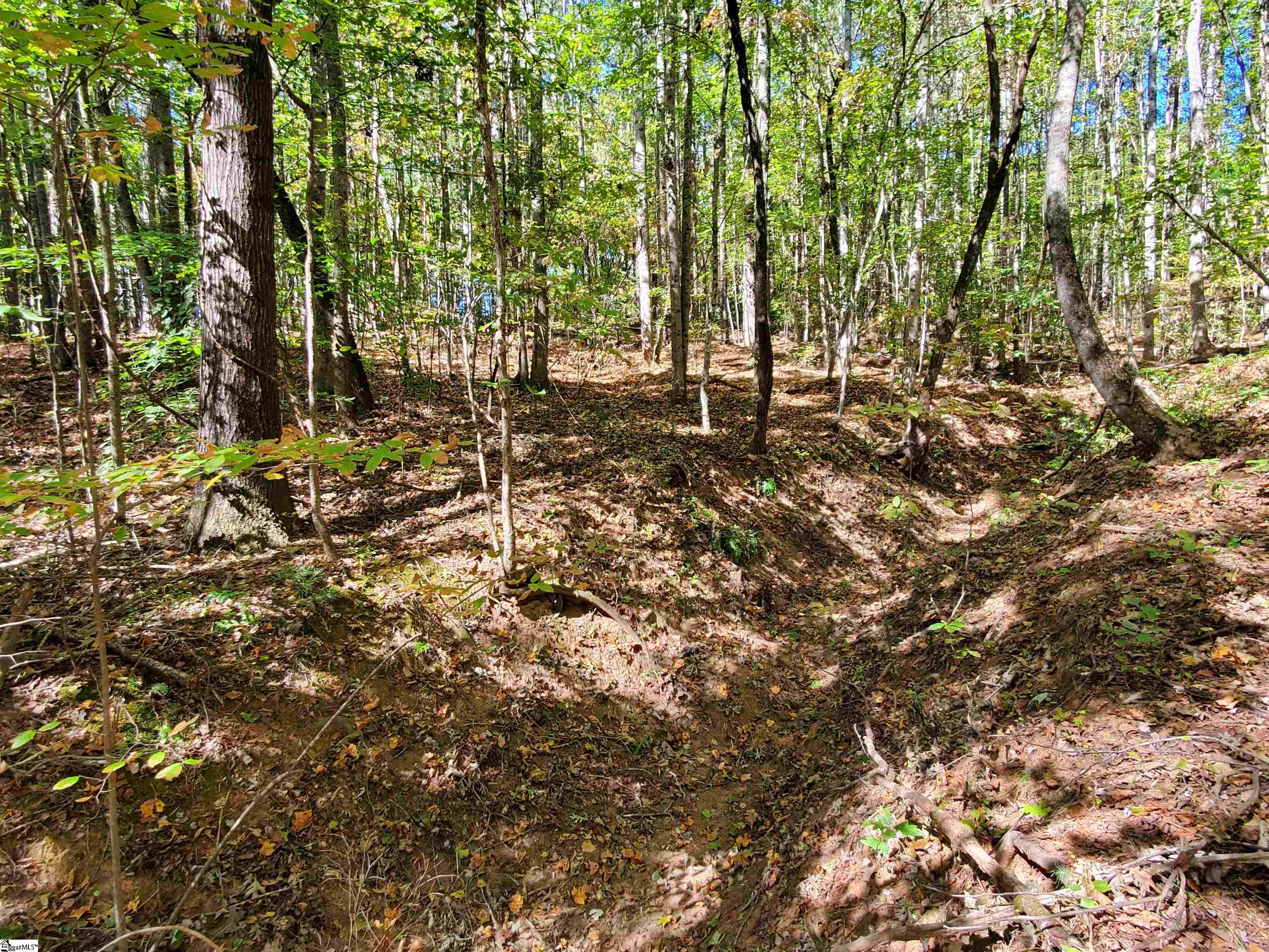 16 Belk Road Travelers Rest, SC 29690 - Photo 14 of 17