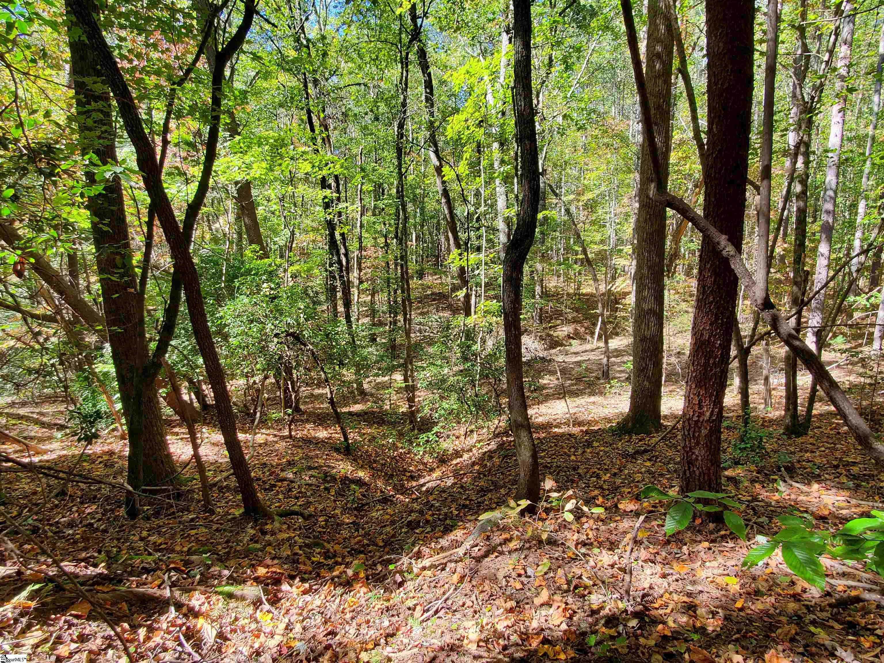 16 Belk Road Travelers Rest, SC 29690 - Photo 15 of 17