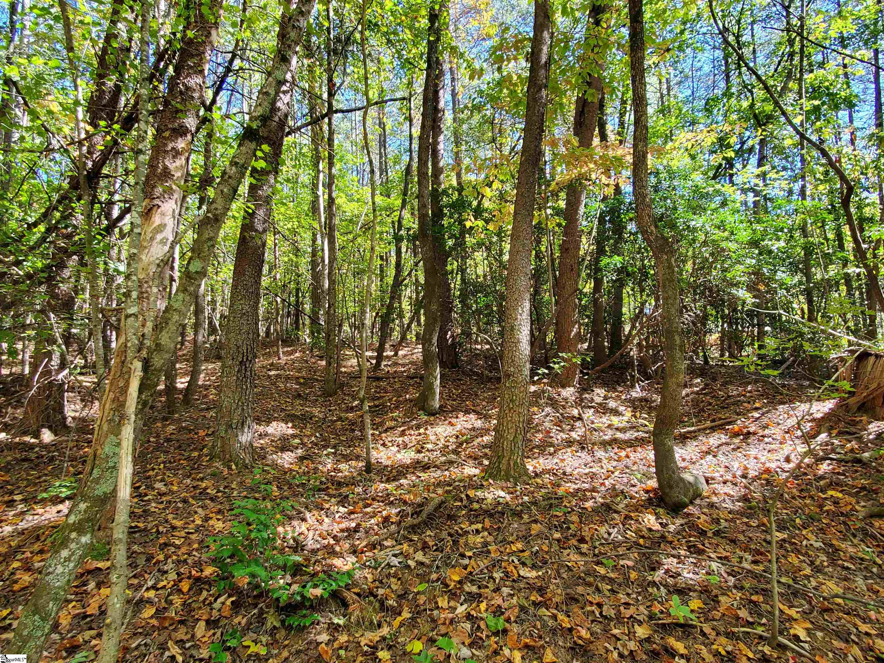 16 Belk Road Travelers Rest, SC 29690 - Photo 16 of 17