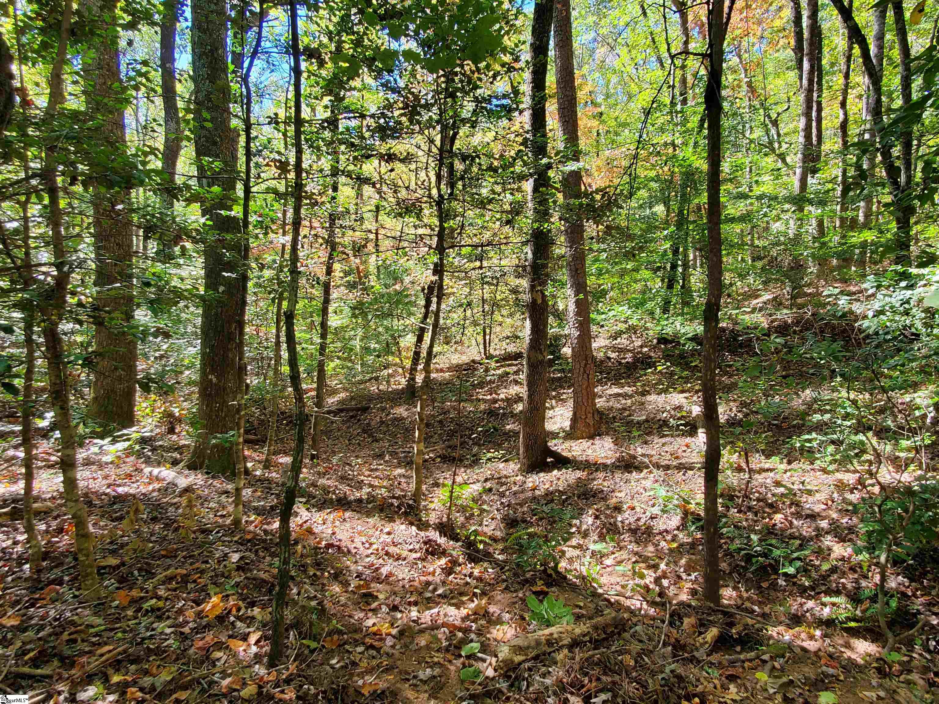 16 Belk Road Travelers Rest, SC 29690 - Photo 2 of 17