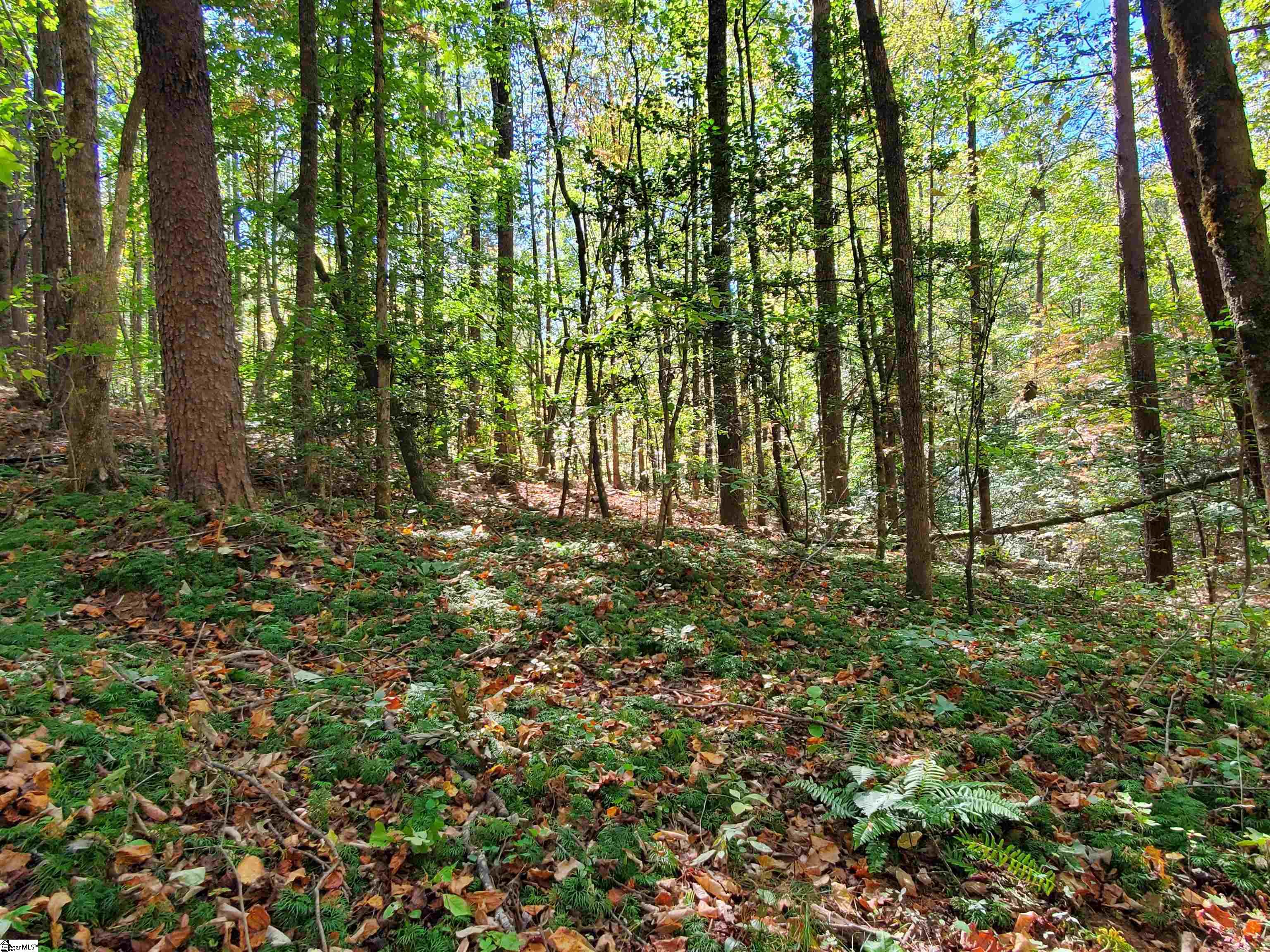 16 Belk Road Travelers Rest, SC 29690 - Photo 3 of 17