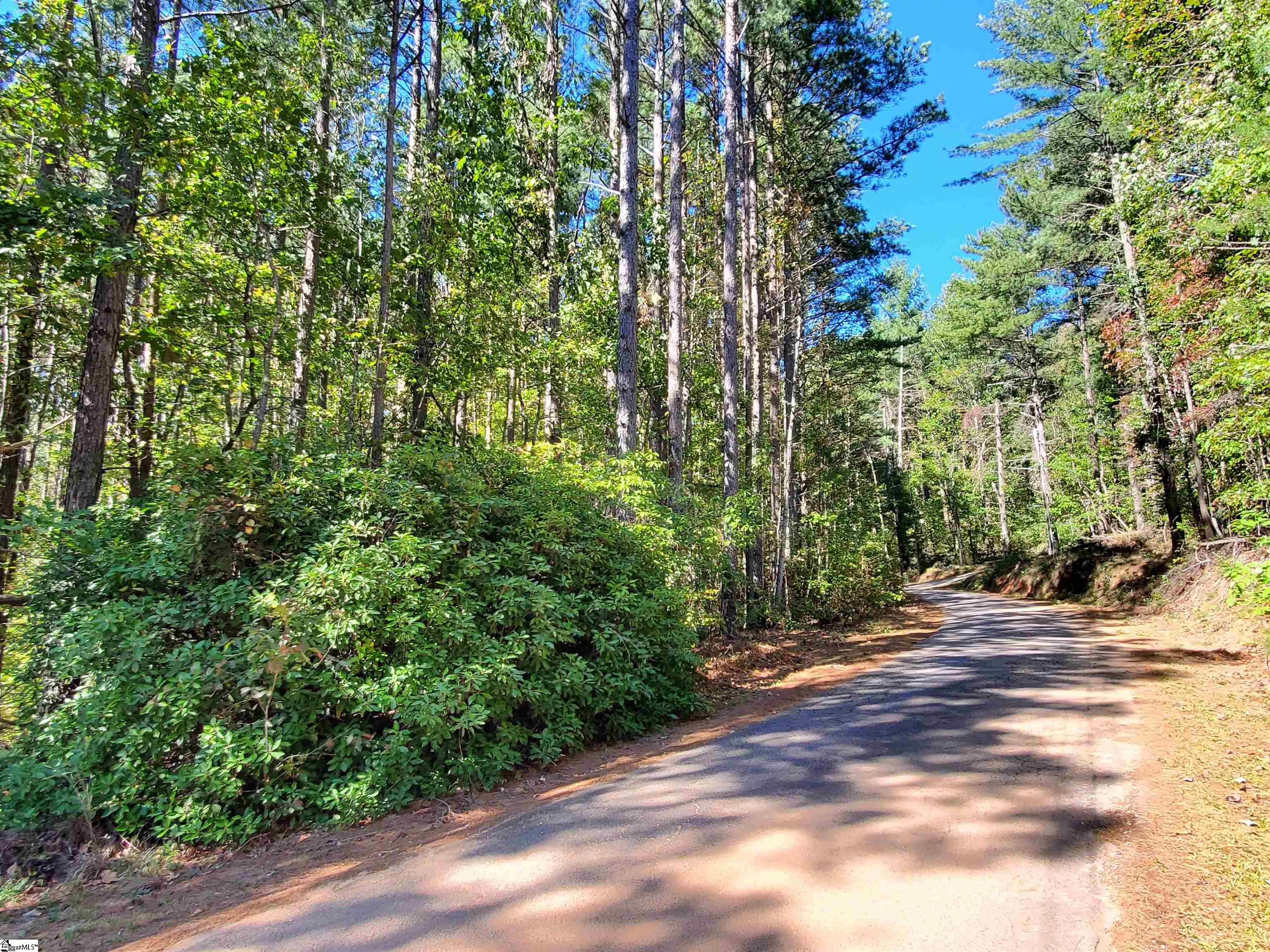 16 Belk Road Travelers Rest, SC 29690 - Photo 10 of 17