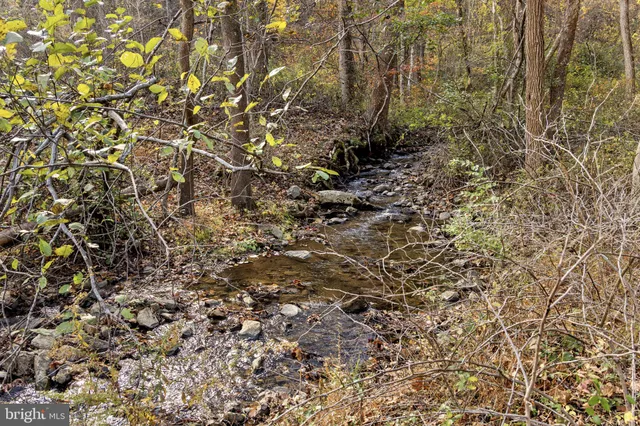 $378,000 | 0 Gid Brown Hollow, Washington, VA 22747