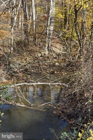 $378,000 | 0 Gid Brown Hollow, Washington, VA 22747