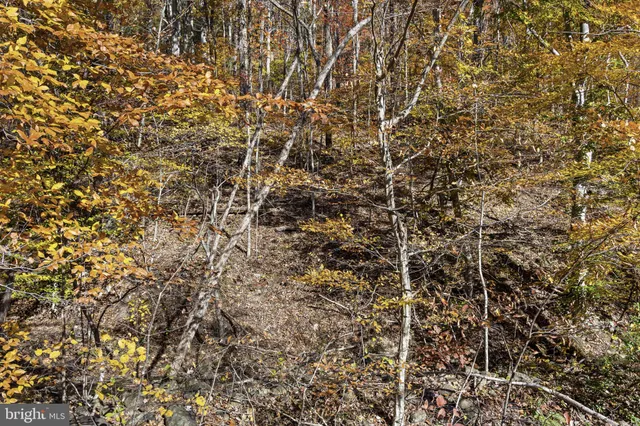 $378,000 | 0 Gid Brown Hollow, Washington, VA 22747