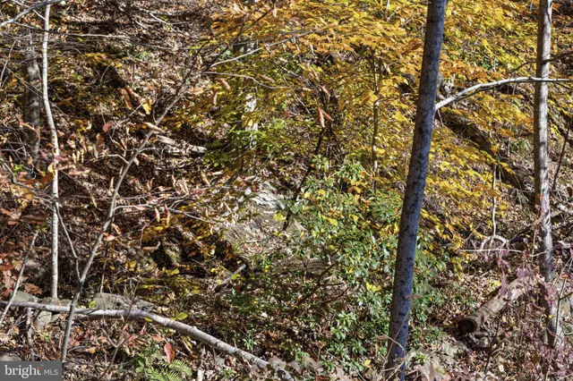 $378,000 | 0 Gid Brown Hollow, Washington, VA 22747