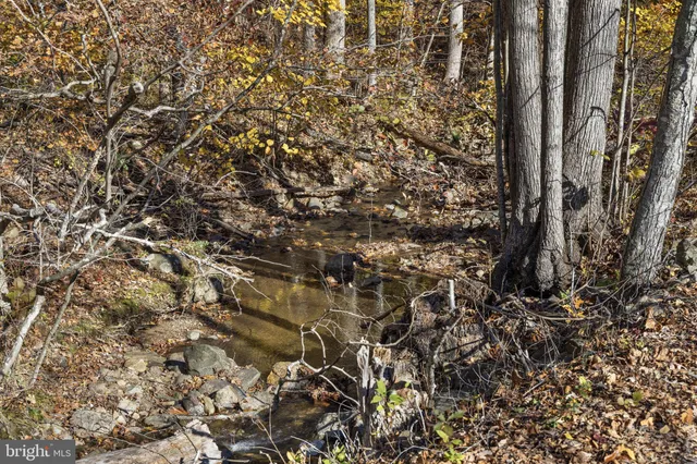 $378,000 | 0 Gid Brown Hollow, Washington, VA 22747