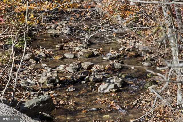 $378,000 | 0 Gid Brown Hollow, Washington, VA 22747