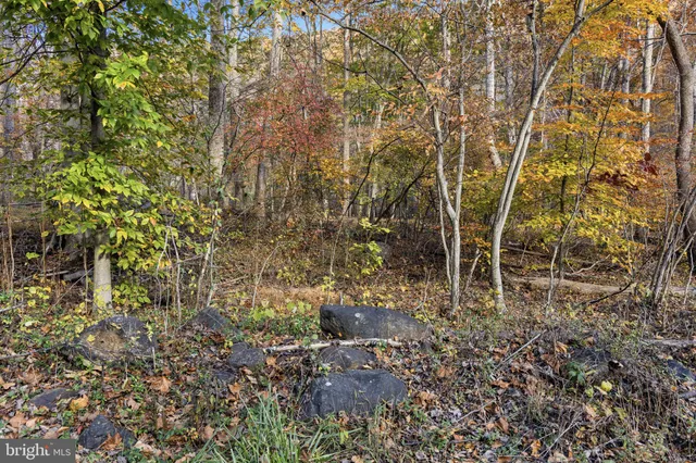 $378,000 | 0 Gid Brown Hollow, Washington, VA 22747