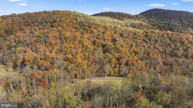 $378,000 | 0 Gid Brown Hollow, Washington, VA 22747