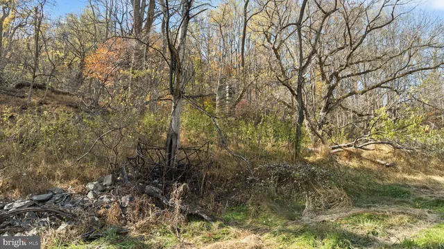 $378,000 | 0 Gid Brown Hollow, Washington, VA 22747