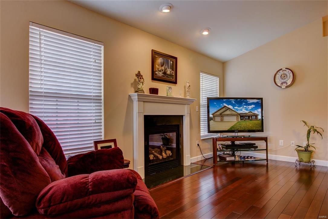 338 Kahlua Court Columbia, IL 62236 - Photo 6 of 36 Gallery Image 6