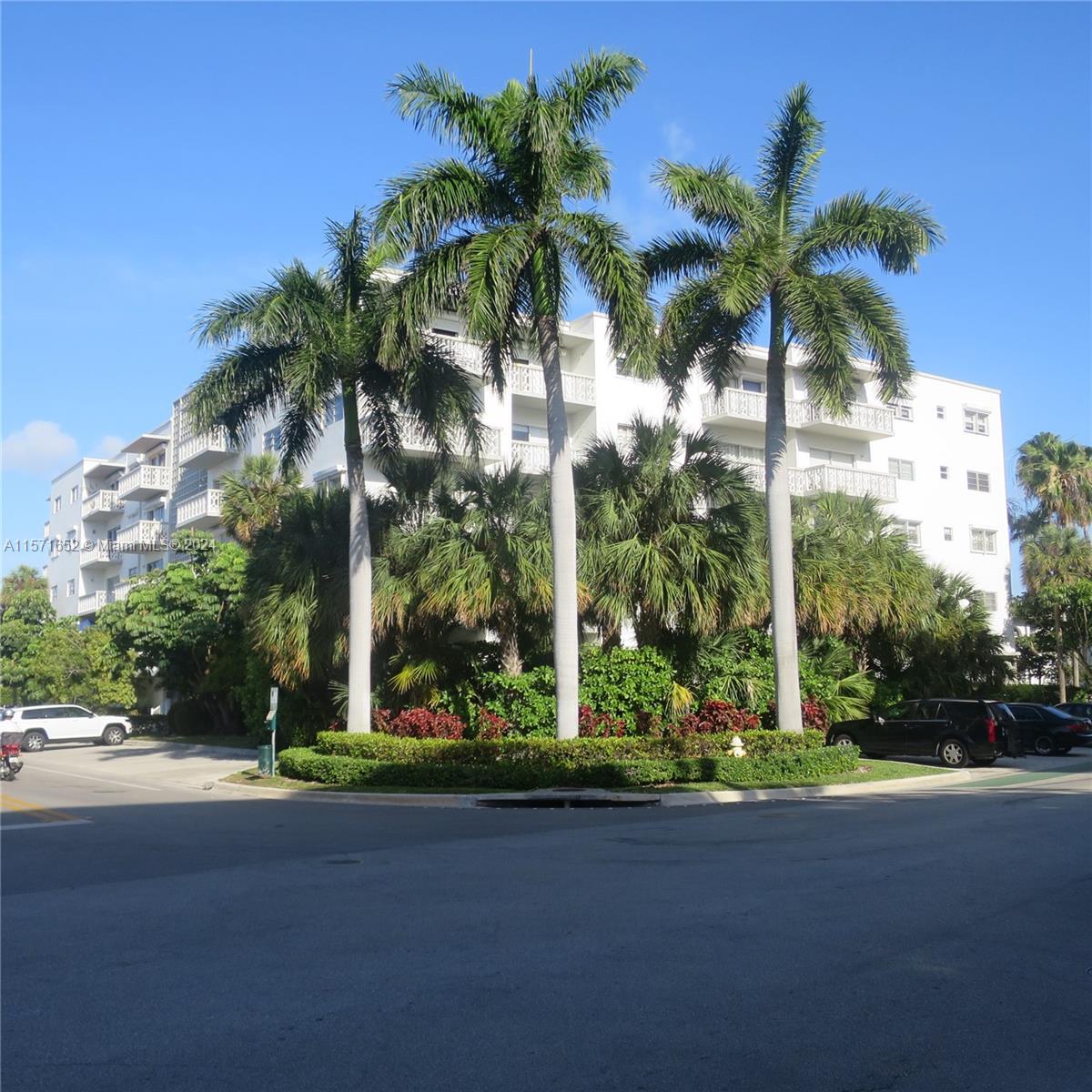 a view of a palm trees in front of a building