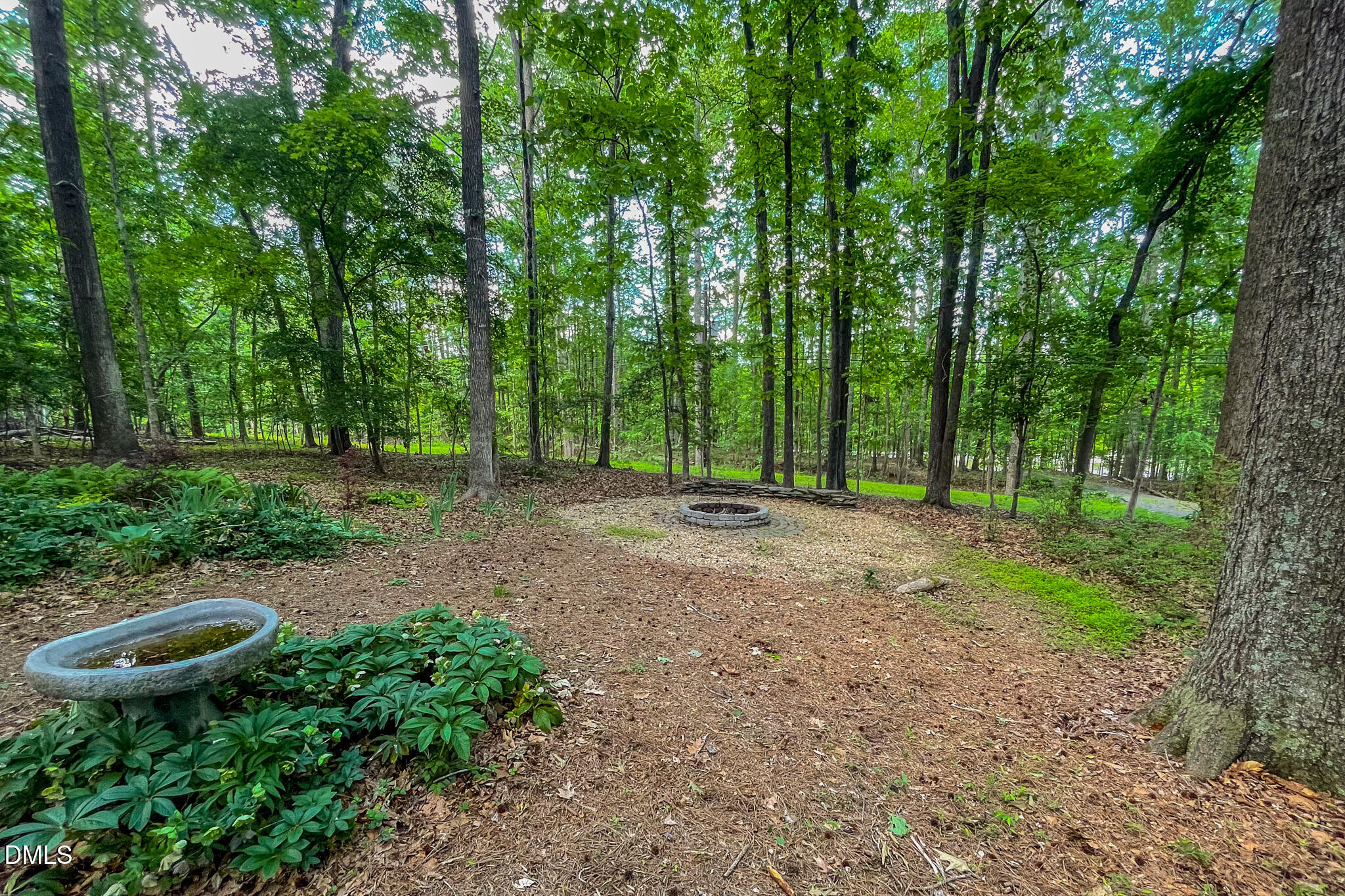 11911 North Roxboro Street Rougemont, NC 27572 - Photo 62 of 68 61