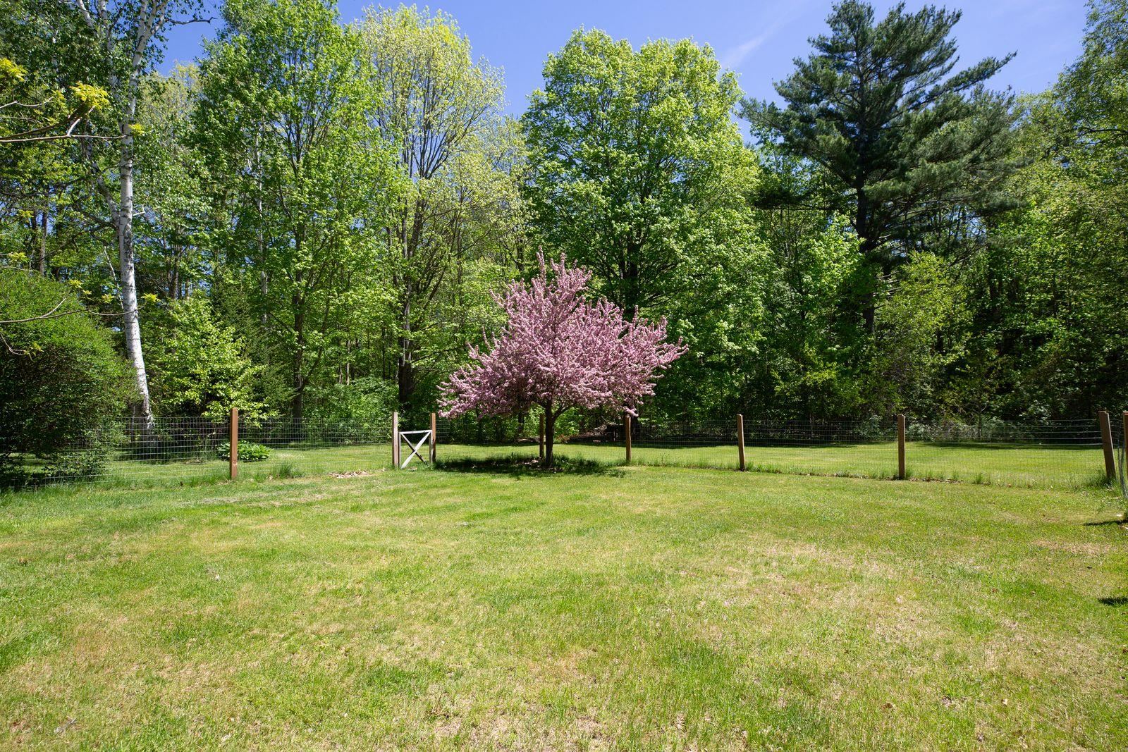 288 Woodward Road Haverhill, NH 03774 - Photo 23 of 30