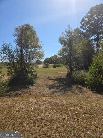 a view of a yard with trees