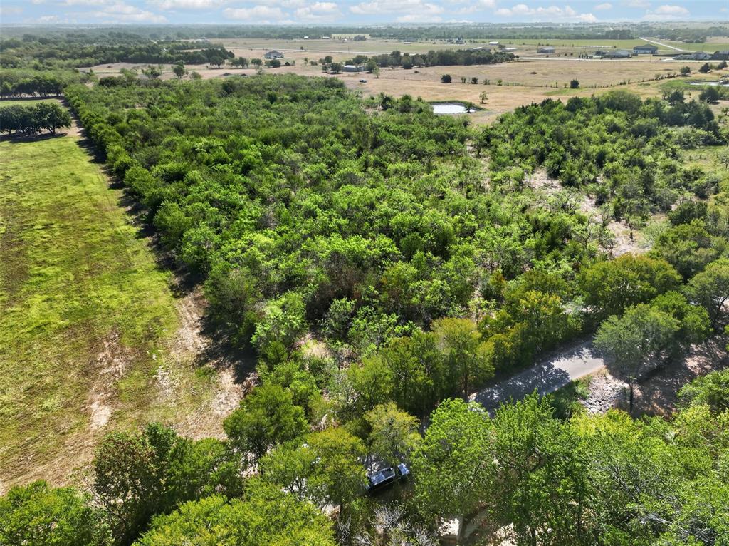 0 Novy Road Ennis, TX 75119 - Photo 24 of 25 Expansive undeveloped land featuring a mix of mature trees, open clearings, and natural terrain