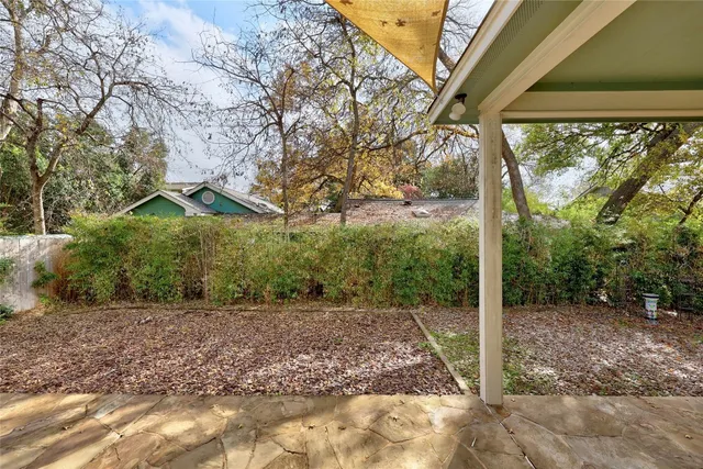 a view of a backyard with a tree