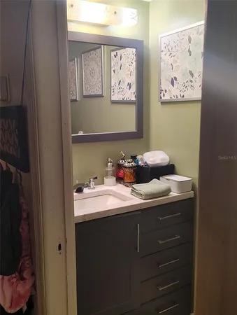 a bathroom with a sink and a mirror