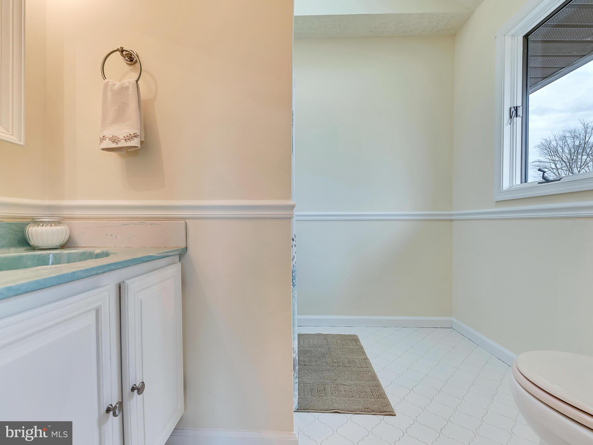 13410 New Windsor Road Union Bridge, MD 21791 - Photo 15 of 30 Bath (Master)