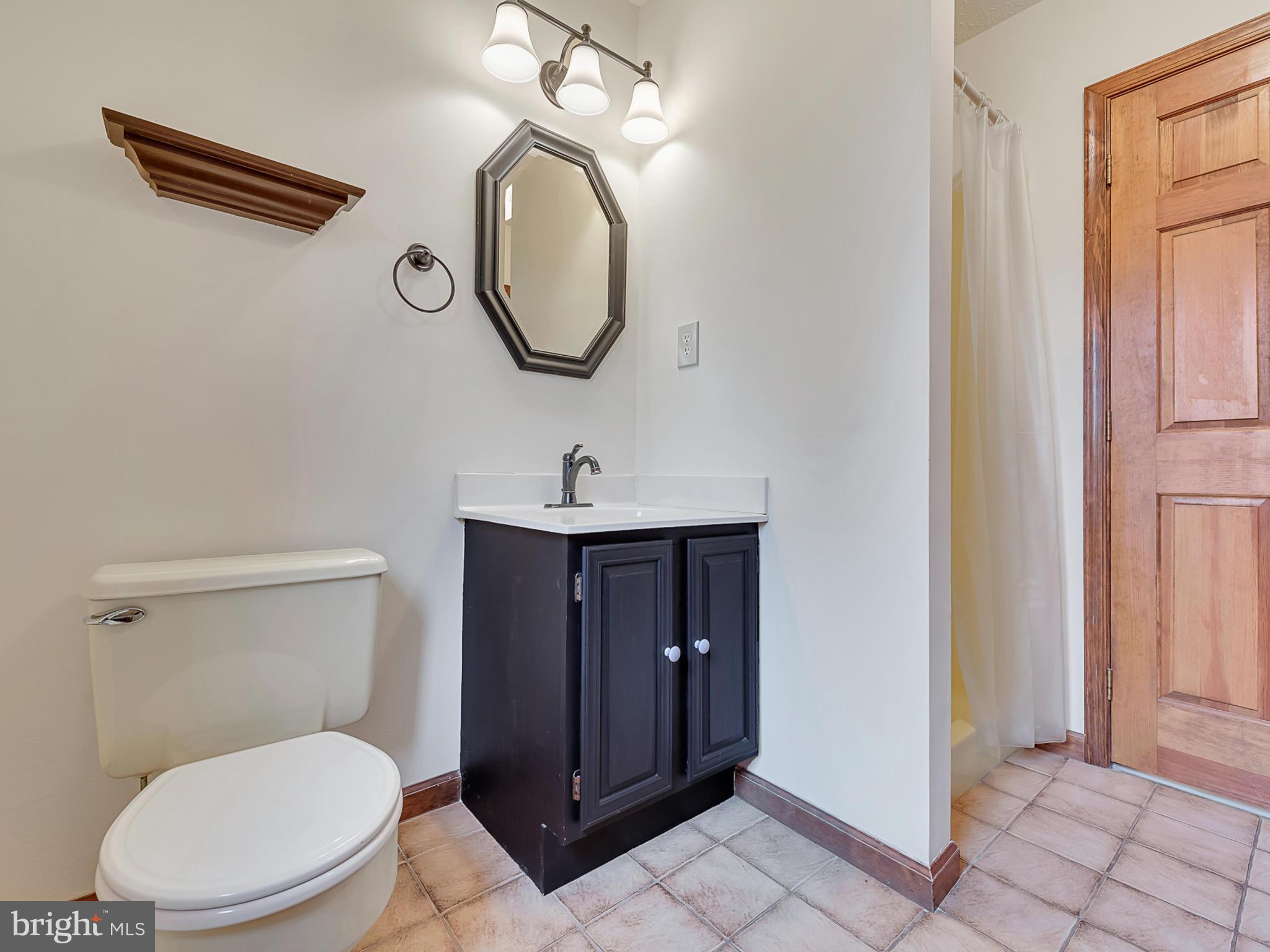 13410 New Windsor Road Union Bridge, MD 21791 - Photo 20 of 30 Full bath on lower level