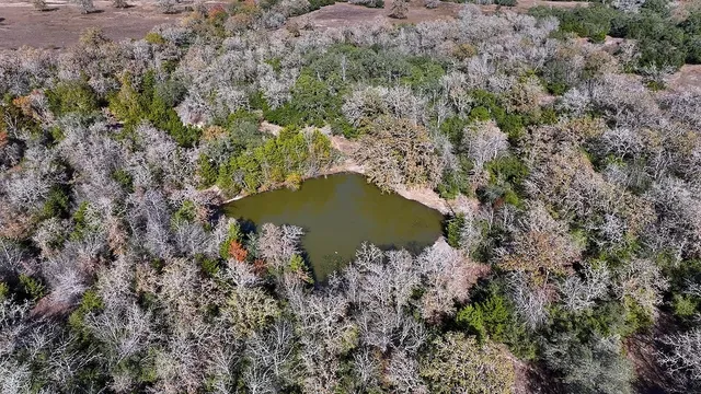 $1,030,000 | 3377 O Quinn Branch Road, La Grange, TX 78945