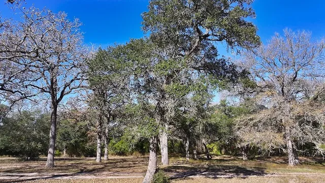 $1,030,000 | 3377 O Quinn Branch Road, La Grange, TX 78945