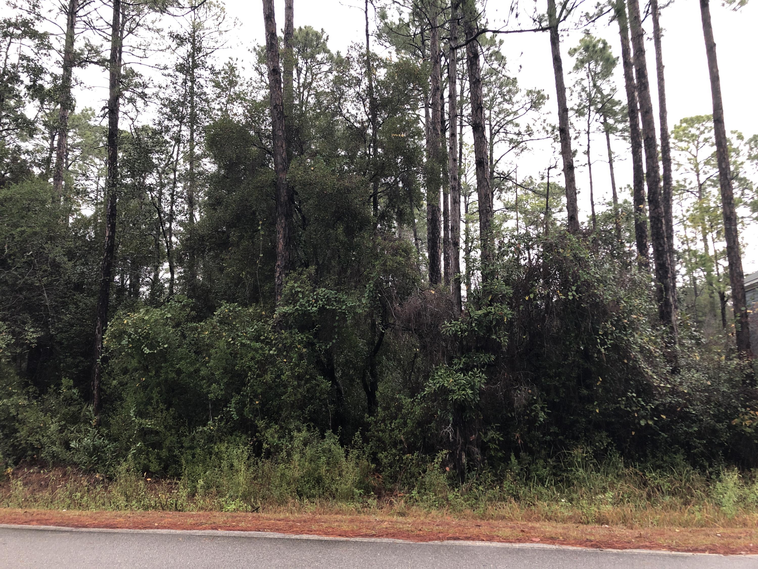 Lot 33 East Point Washington Road Santa Rosa Beach, FL 32459 - Photo 1 of 4 IMG_9577