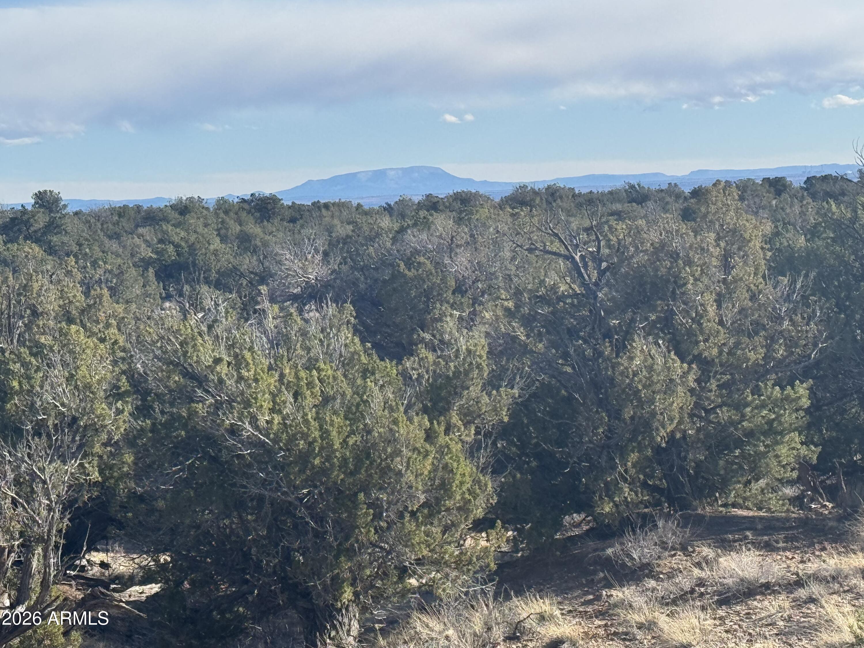 Lot 93 Red Sky Ranch, Unit 93 St. Johns, AZ 85936 - Photo 12 of 15 a view of a dry yard with green space and fog