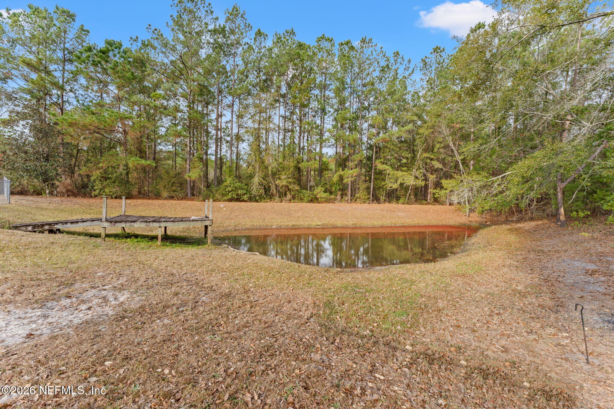 482 North 3rd Street Macclenny, FL 32063 - Photo 29 of 32 a view of a yard with large trees