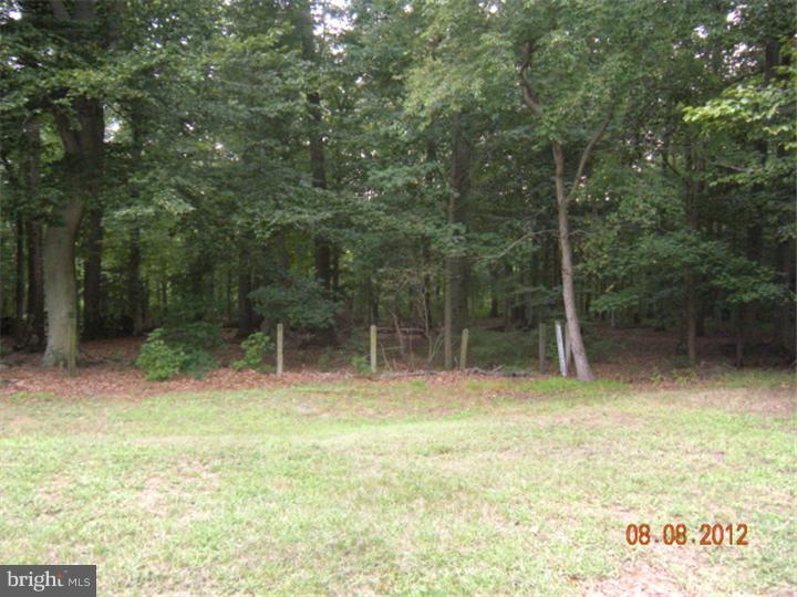 270 Meany Road Wrightstown, NJ 08562 - Photo 6 of 16 View from Front Door