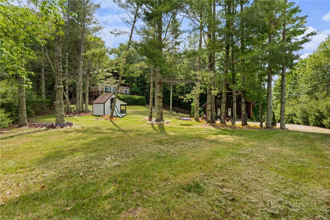 123 St Andrews Road Beech Mountain, NC 28604 - Photo 46 of 50 a view of a park with swings and slides