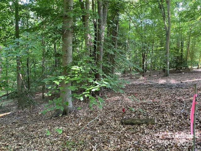 a green field with lots of trees