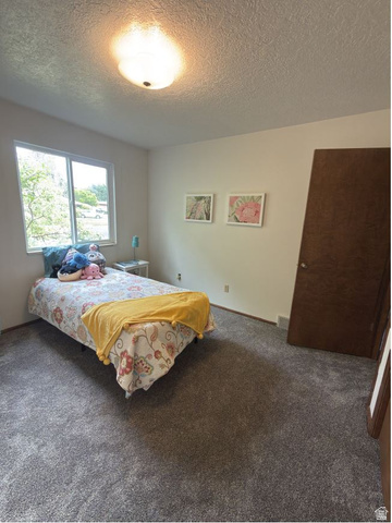 1164 East Mountain Road Logan, UT 84321 - Photo 23 of 52 Bedroom featuring light-colored walls, gray carpeting, and a window providing natural illumination