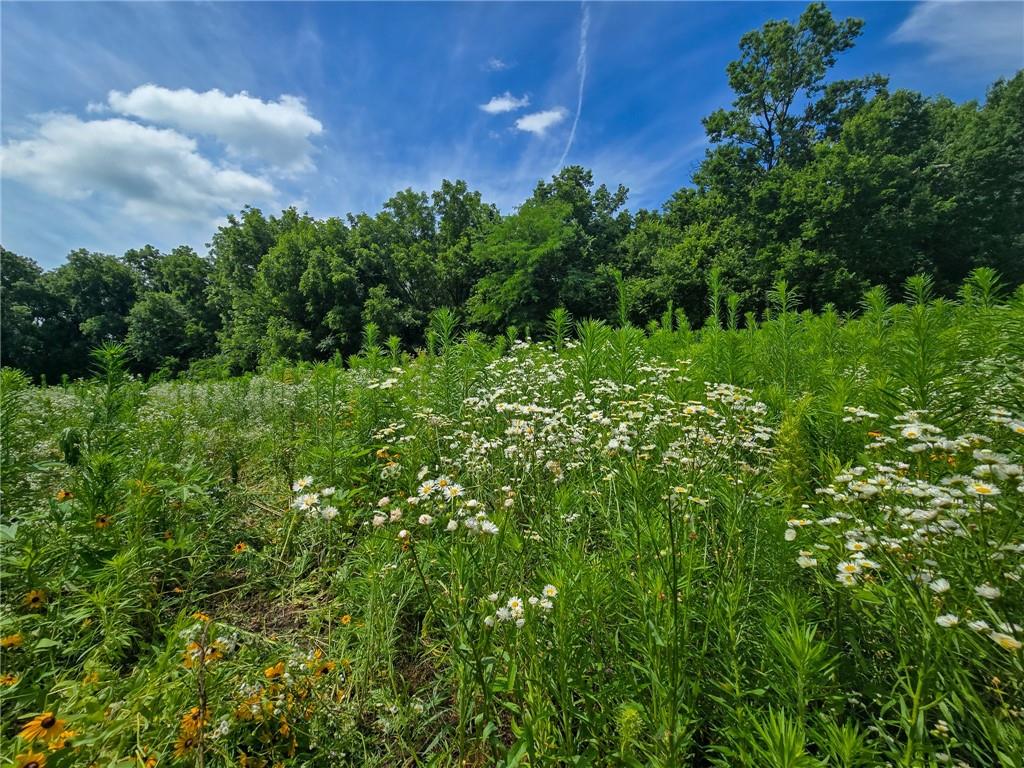 2087 South 1600th Road Wilsey, KS 66873 - Photo 14 of 56