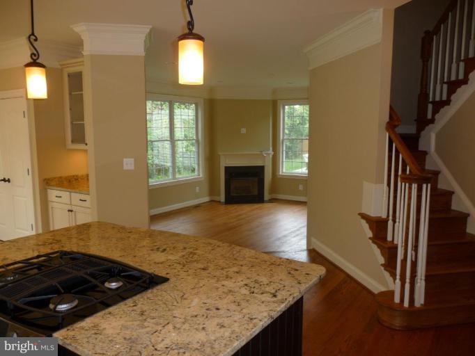 8041 Washington Road Alexandria, VA 22308 - Photo 3 of 21 Kitchen/Family Room