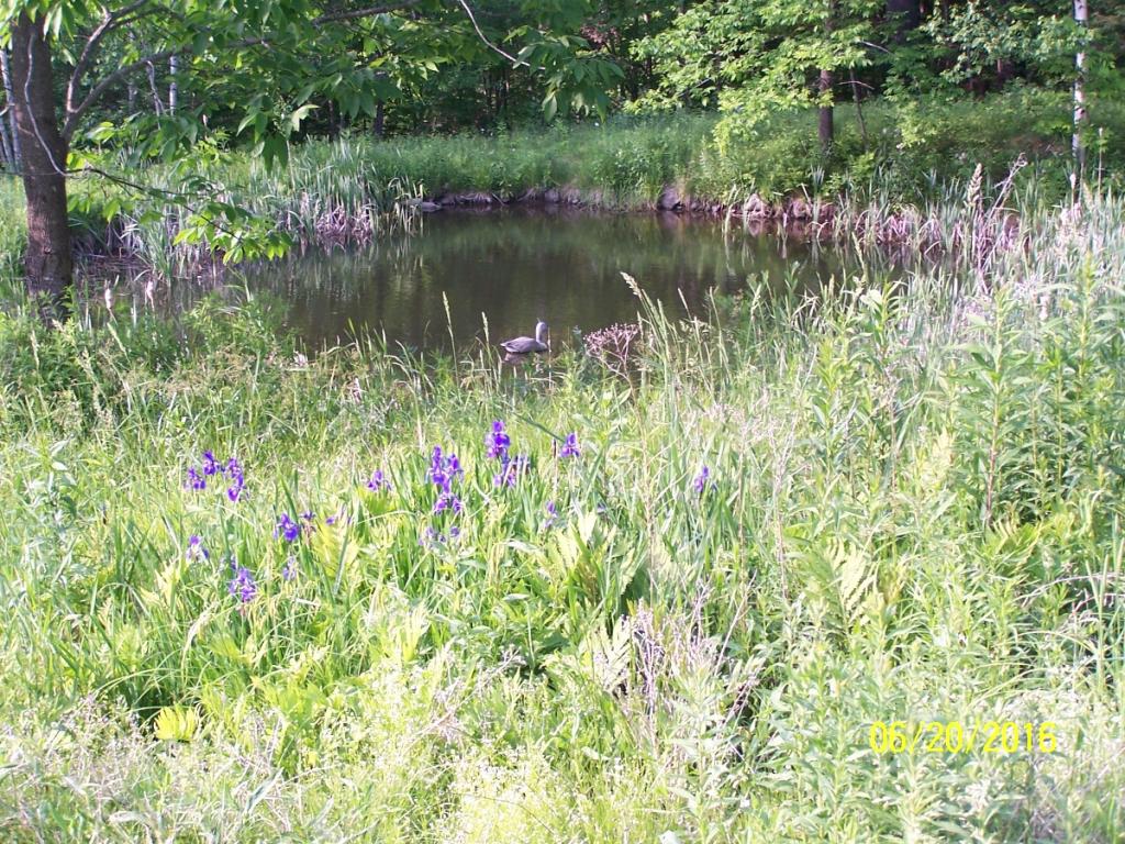 110 Howe Hill Road Benton, NH 03785 - Photo 12 of 12