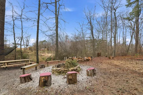 a view of yard with green space