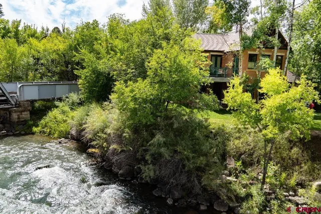 a view of a garden with plants