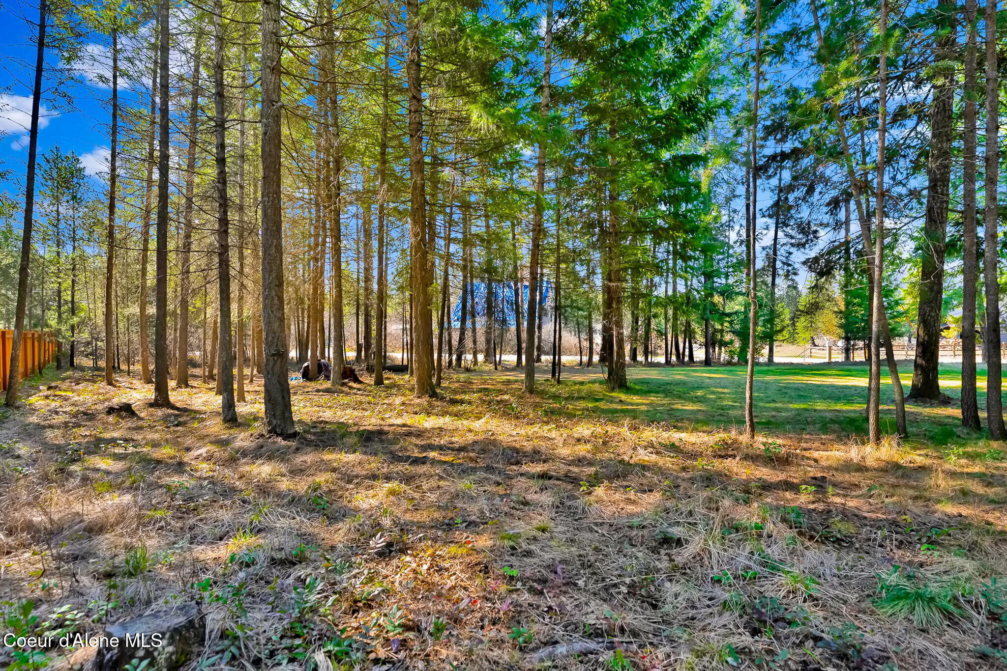 54 Star Road Bonners Ferry, ID 83805 - Photo 51 of 52 20-web-or-mls-SkyLight - Star Ext (Jenny