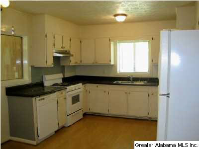 2575 Mt Olive Road Mount Olive, AL 35117 - Photo 5 of 7