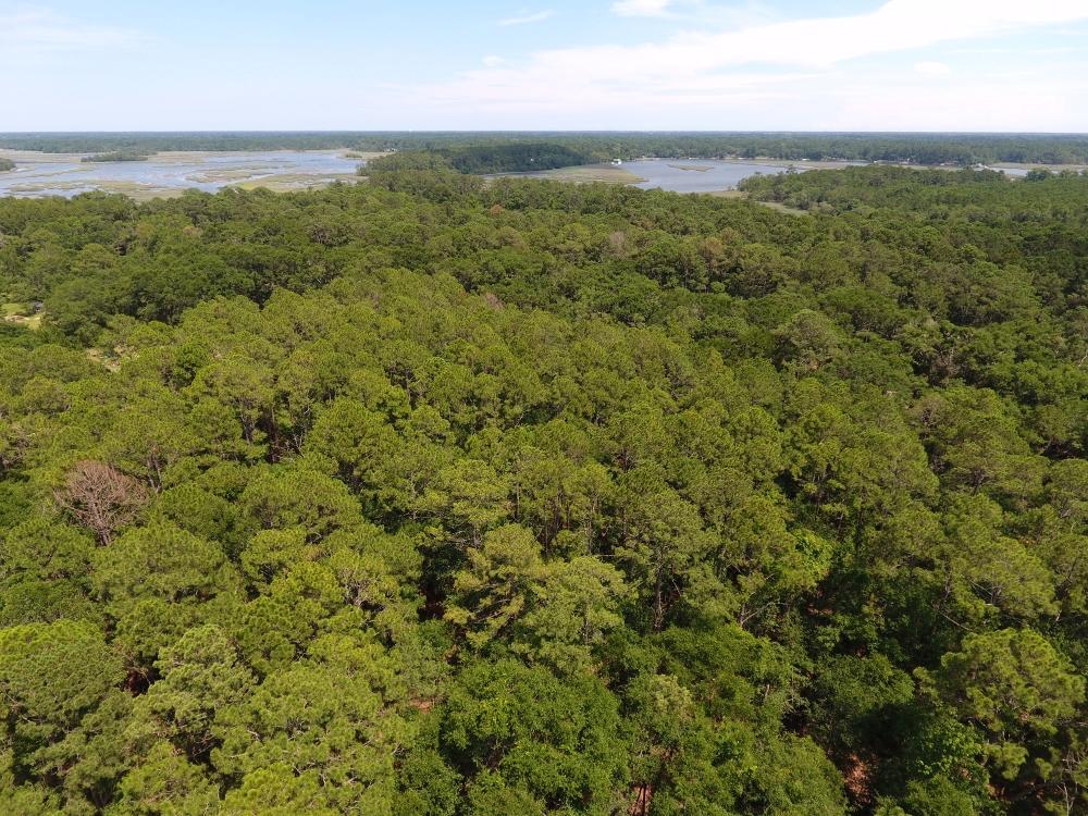 0 Rockefeller Road Wadmalaw Island, SC 29487 - Photo 4 of 10 4