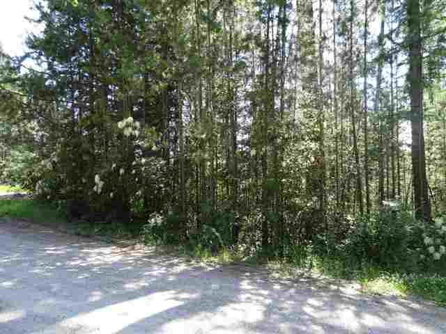 35523 North Elk Chattaroy Road Elk, WA 99009 - Photo 3 of 11 Gallery Image 3